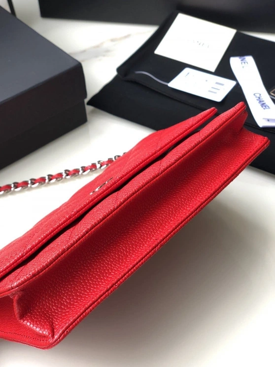 HyperPeter HARDWARE CHANEL WALLET CHAIN SILVER WITH CAVIAR 0721
